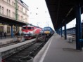 /album/kepgaleria-2013-03-08/a91-53-0477-498-6-csaurusz-es-480-001-kando-kalman-traxx-jpg/